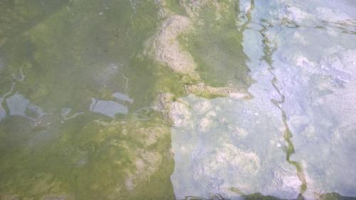 Hotel Terme Belvedere Abano Terme Esterno foto