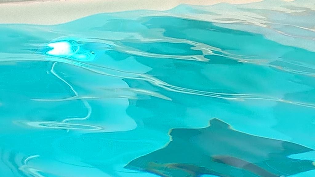Hotel Terme Belvedere Abano Terme Esterno foto